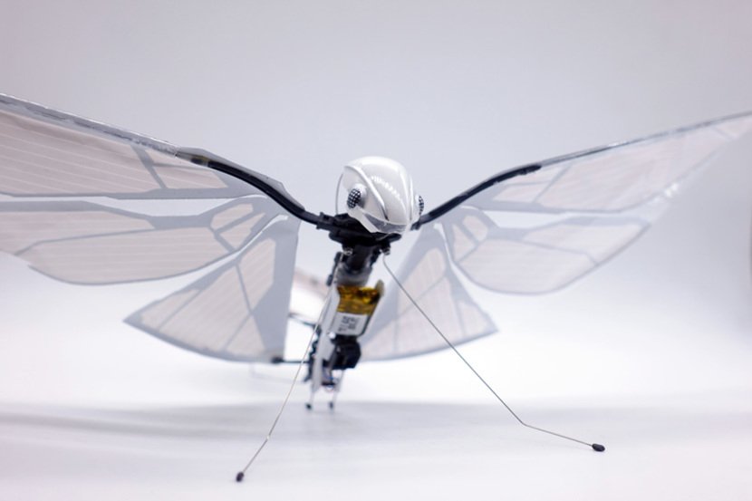 MetaFly bioinspired Insect Robot