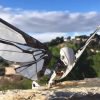 MetaFly bioinspired Insect Robot