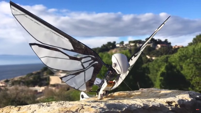 MetaFly bioinspired Insect Robot