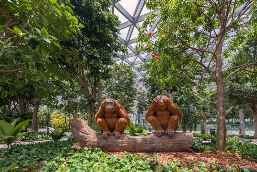 Jewel Changi Airport Singapore 4