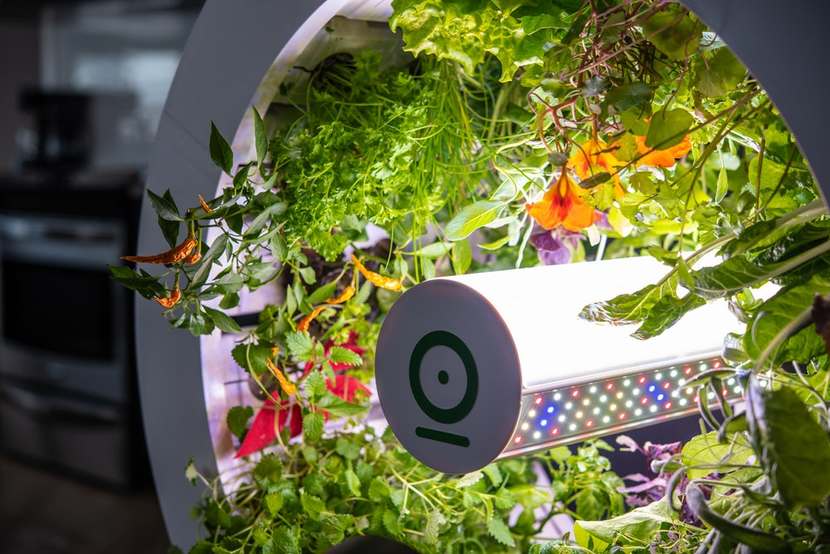 OGarden Smart Planter 2