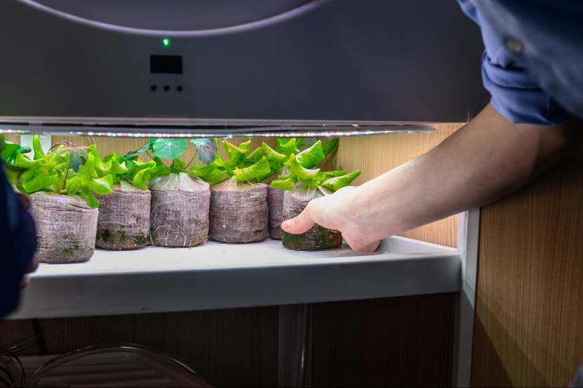 OGarden Smart Planter 3