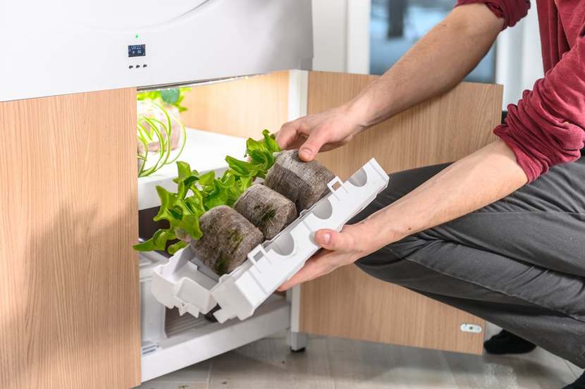 OGarden Smart Planter 4