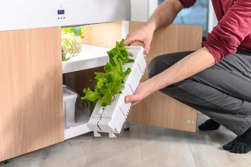 OGarden Smart Planter 5
