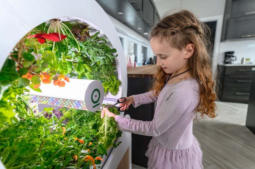 OGarden Smart Planter 7