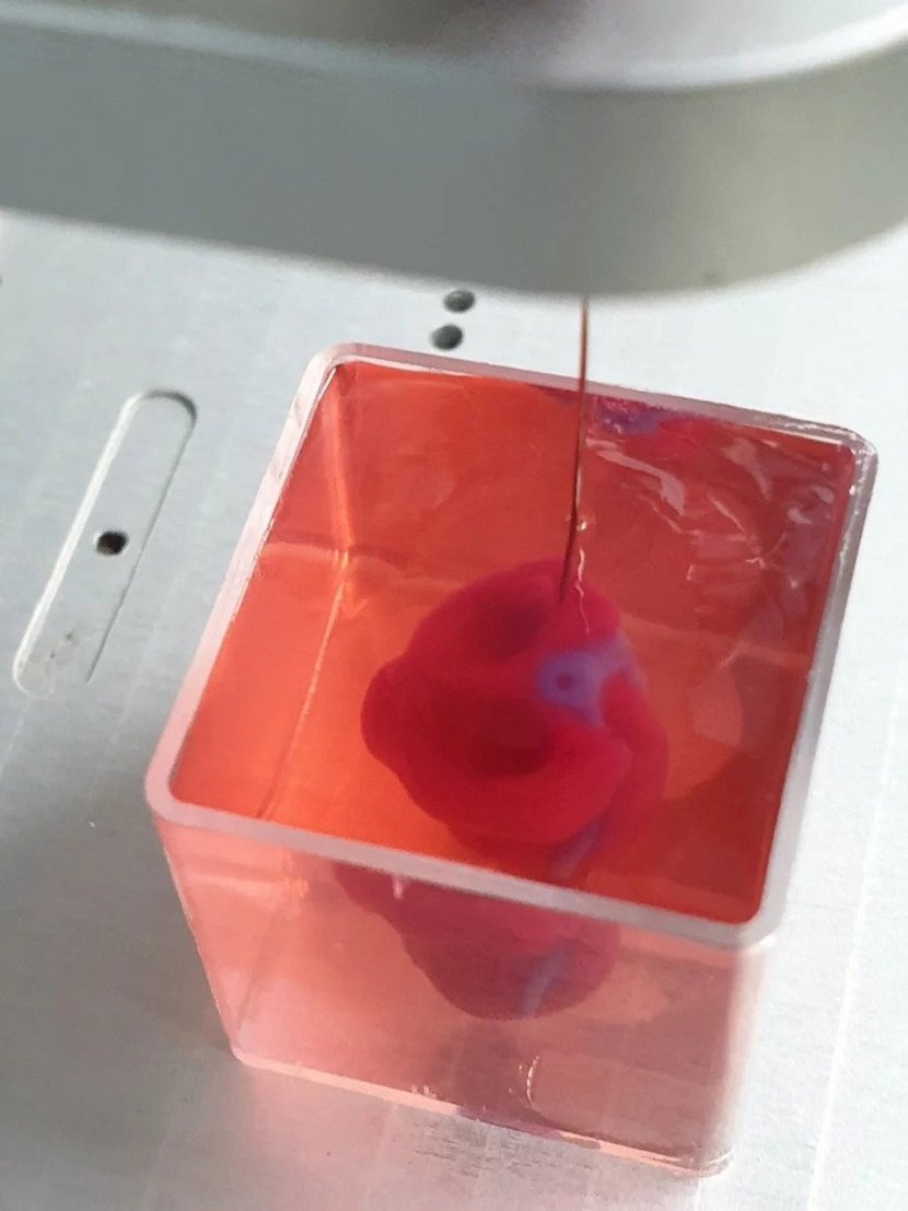 World's First 3D Printed Heart Tel Aviv University