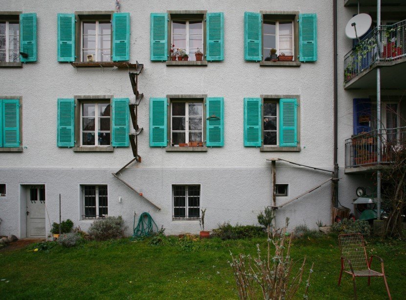 Cat ladders by Brigitte Schuster