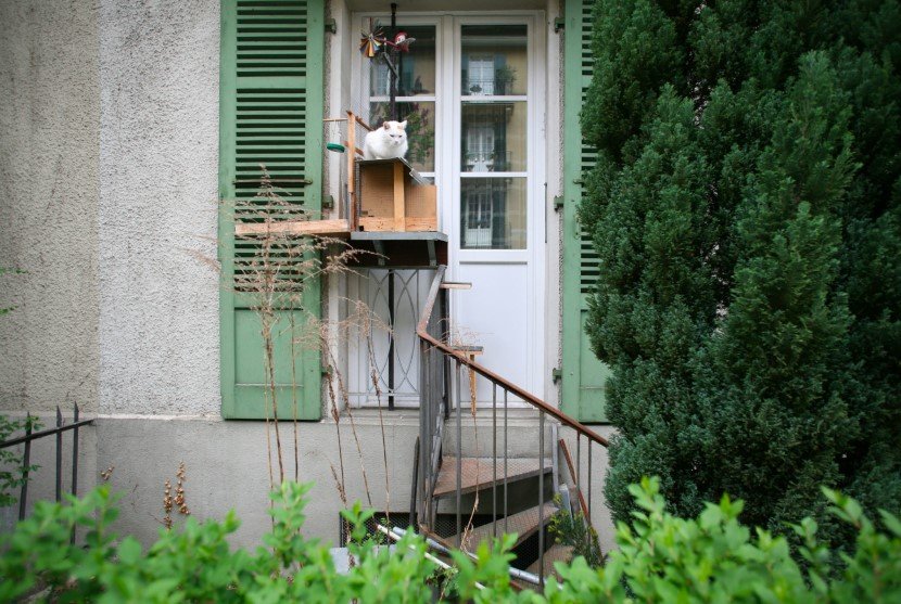 Cat ladders by Brigitte Schuster