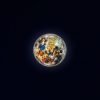Moon by Andrew McCarthy