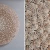 Seashell sculpture by Rowan Mersh