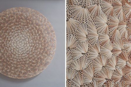 These mesmerizing seashell sculptures will leave you in awe!
