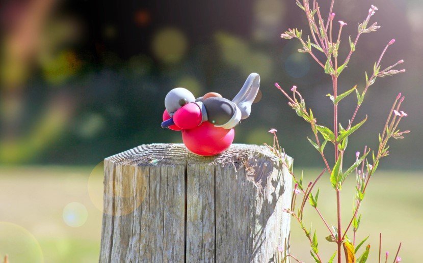 Balloon birds by terry cook