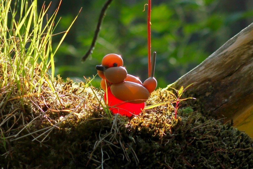 Balloon birds by terry cook