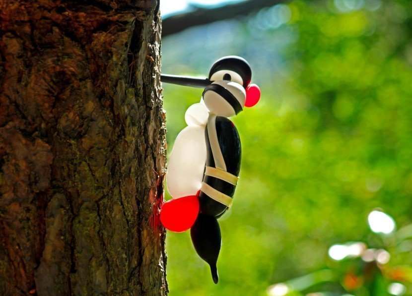 Balloon birds by terry cook
