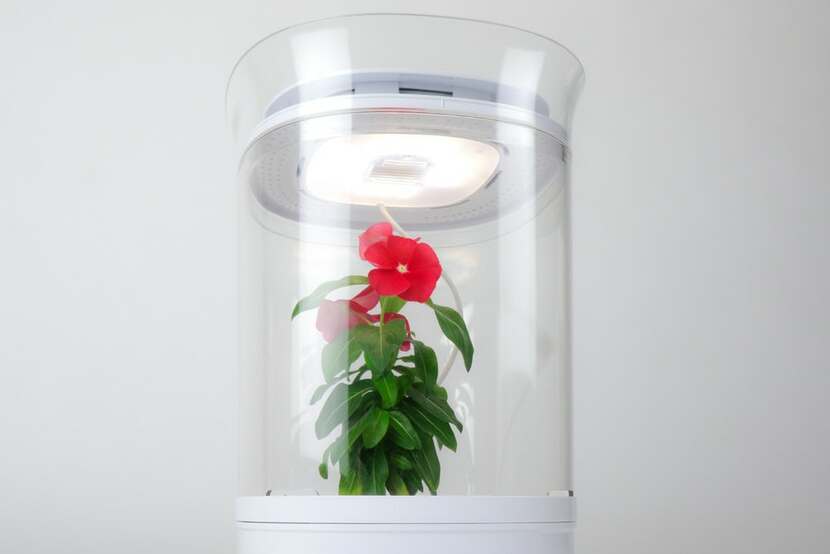 Bloomengine Indoor Planter