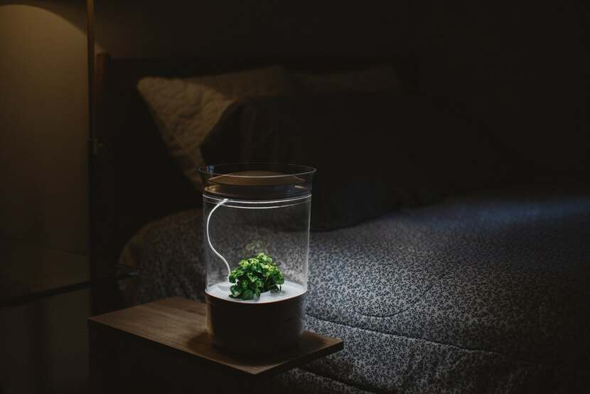 Bloomengine Indoor Planter