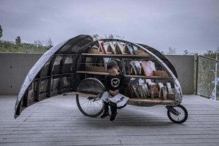 This lady beetle in China is bringing library on the streets