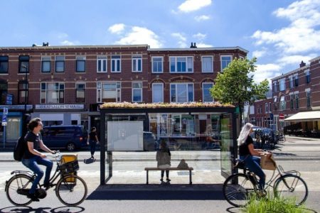Netherlands turns its bus stop roofs into bee habitats