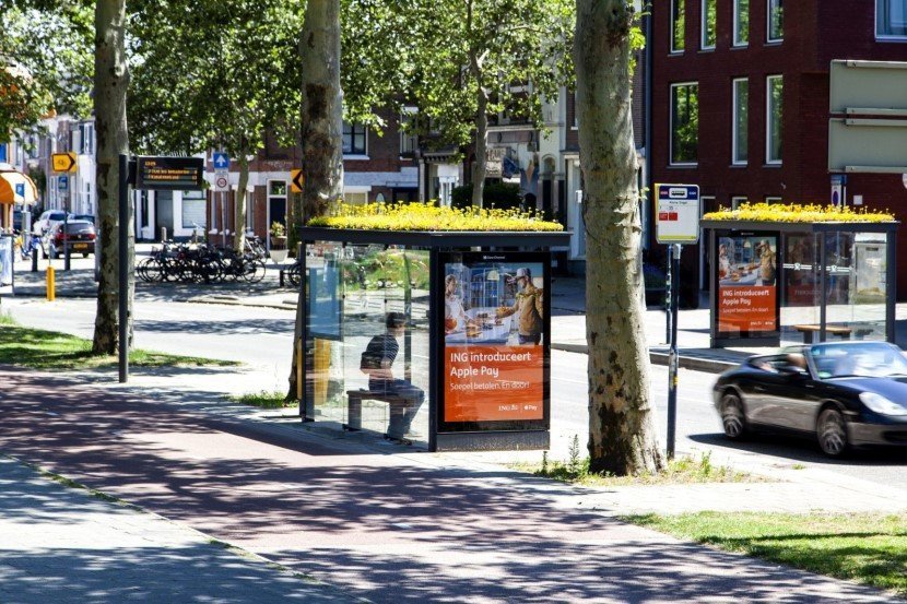 bus bees 2