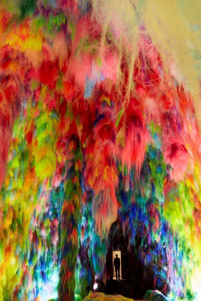 hair 6