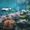 BW Space Pro Underwater Drone
