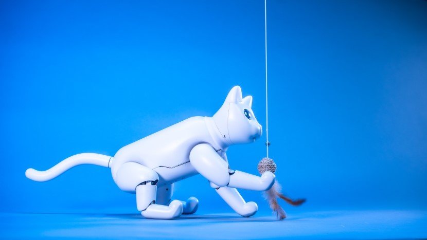 Robotic Interactive MarsCat 