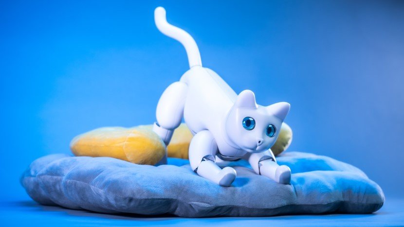 Robotic Interactive MarsCat 