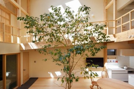 This Kyoto Family Home features a growing tree in the very middle of it