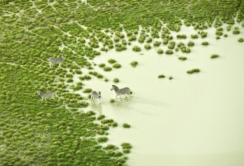 Zack seckler aerial