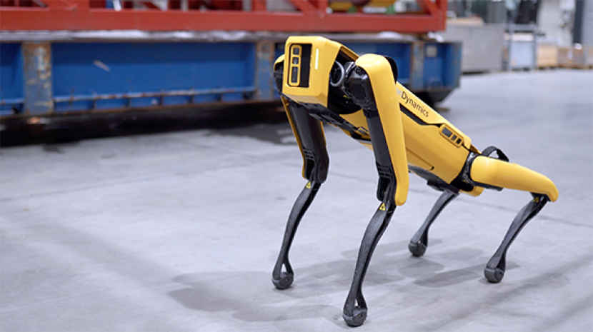Boston Dynamics dog robot