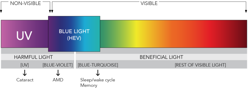 Blue Light Blocking Glasses