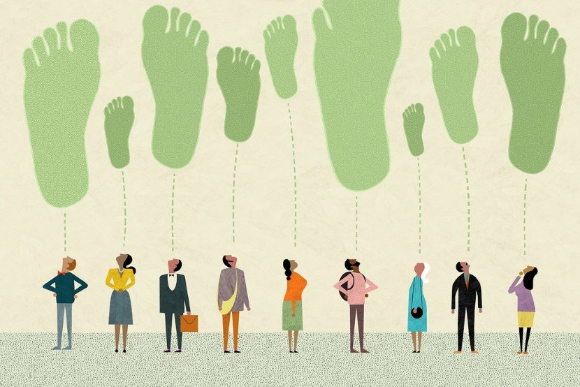 Carbon footprint