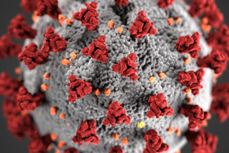 The origin of the coronavirus outbreak