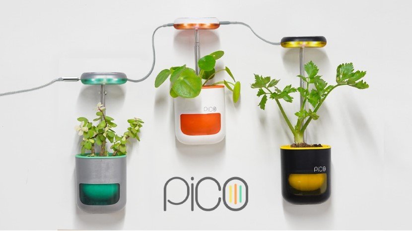 pico