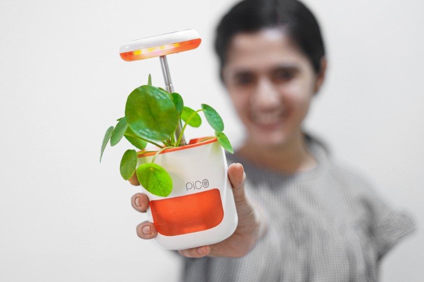 Self Watering Planter Pico