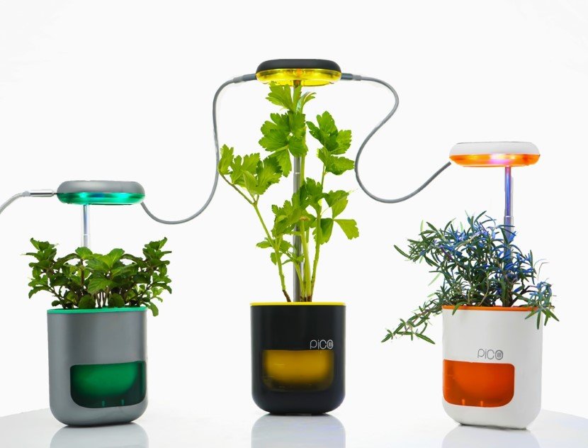 Self planter