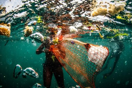 Plastic eating bacteria can help fight climate change