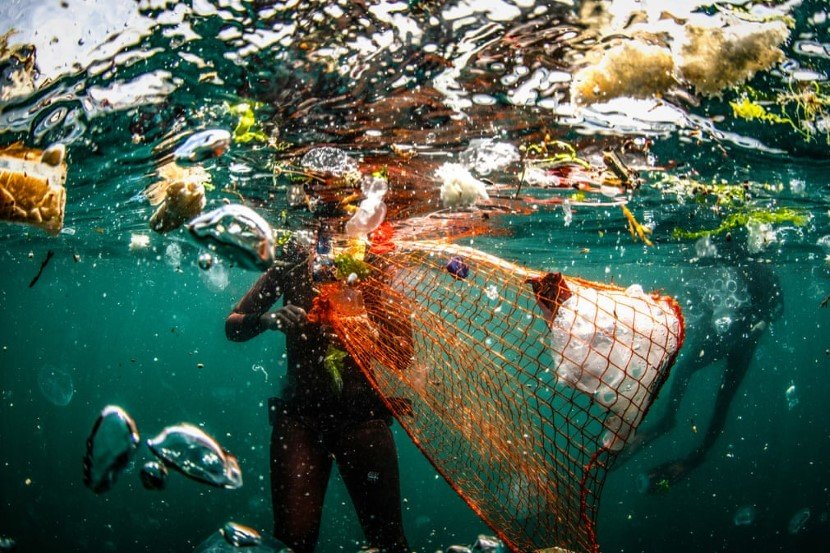 Plastic eating bacteria