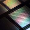 Brain-on-chip