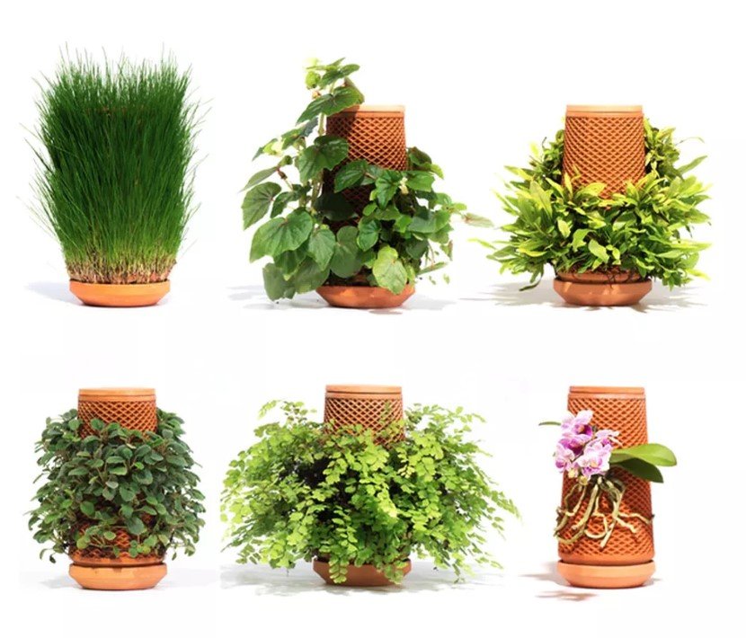 Terraplanter planter