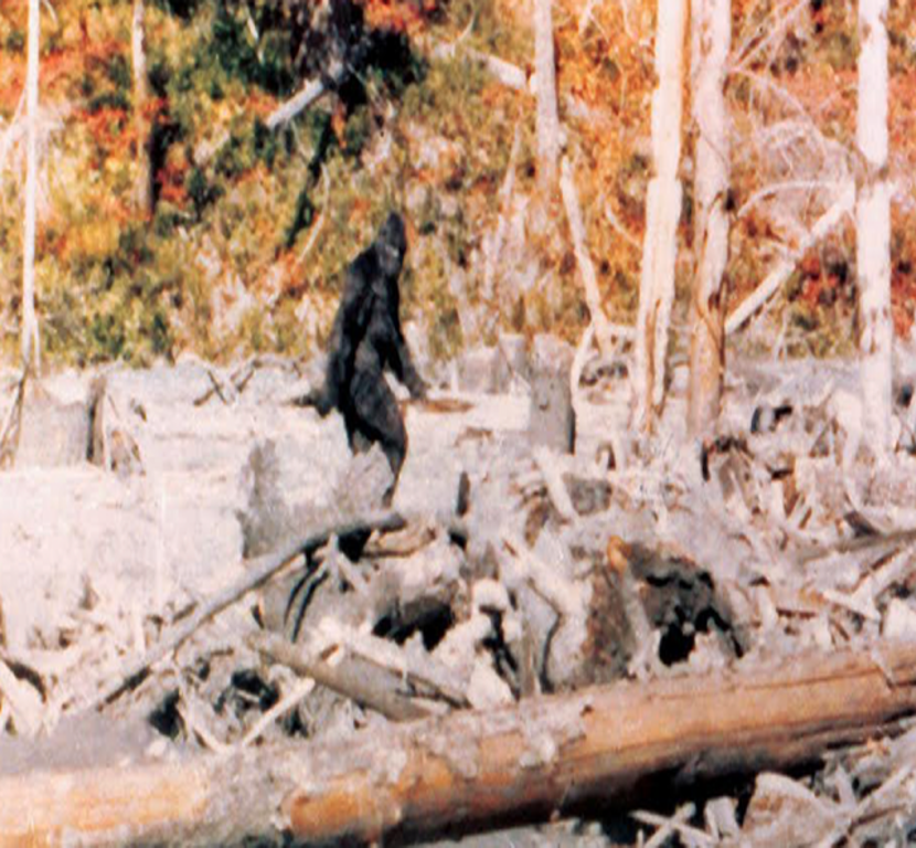 Bigfoot sightings Patterson Gimlin Film
