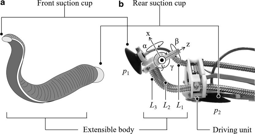Soft robotics
