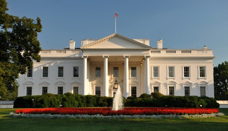 white house x800