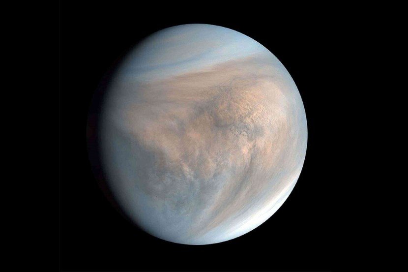 life on venus