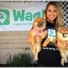Wag! The dog walking app