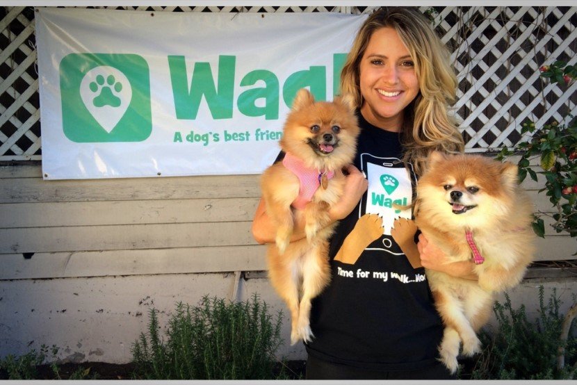 Wag! The dog walking app