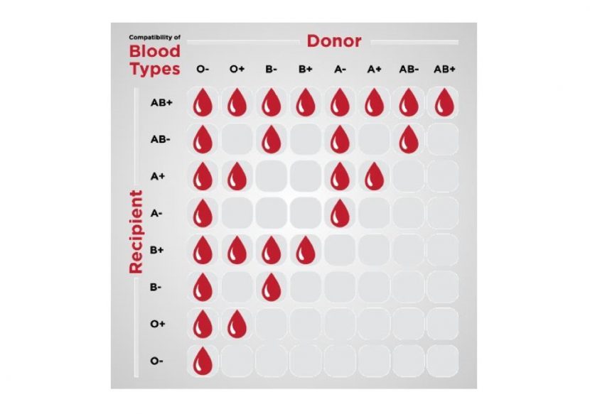 Rarest Blood Type rarest-blood-type