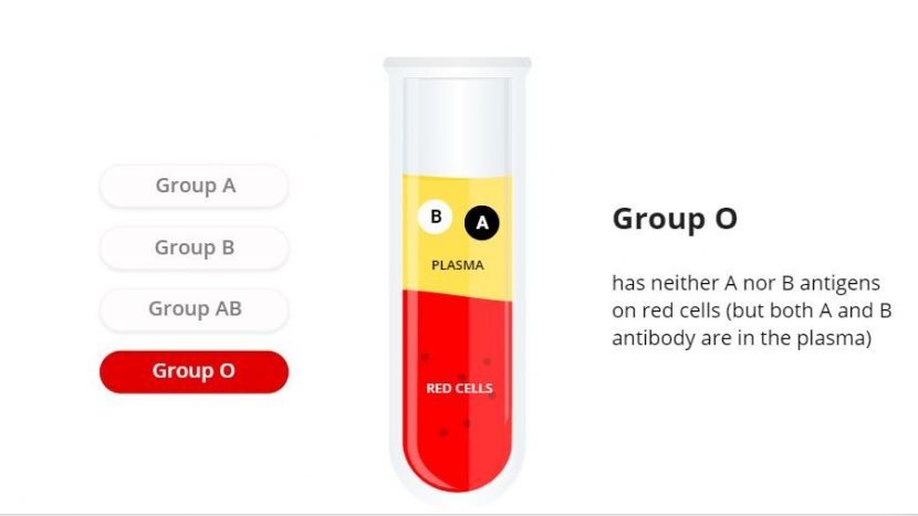 group O e1608237984438